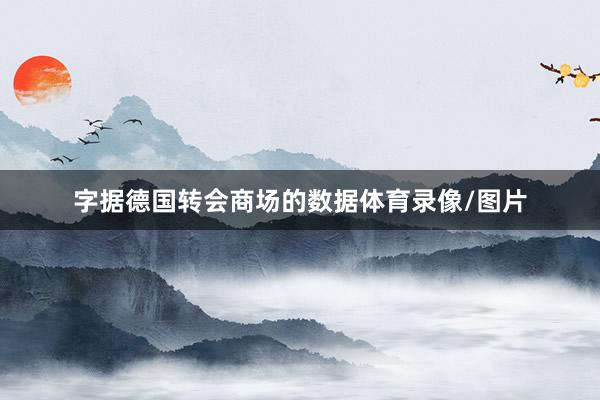 字据德国转会商场的数据体育录像/图片