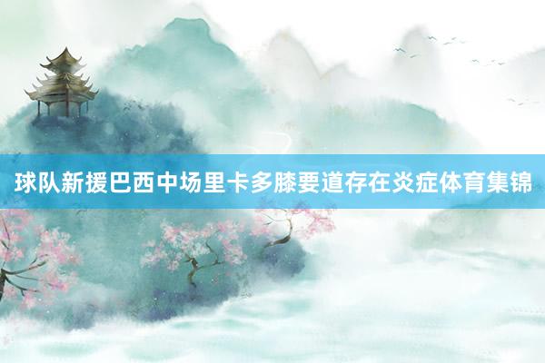 球队新援巴西中场里卡多膝要道存在炎症体育集锦