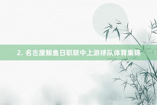 2. 名古屋鲸鱼日职联中上游球队体育集锦