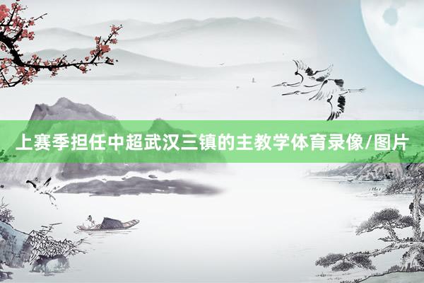 上赛季担任中超武汉三镇的主教学体育录像/图片