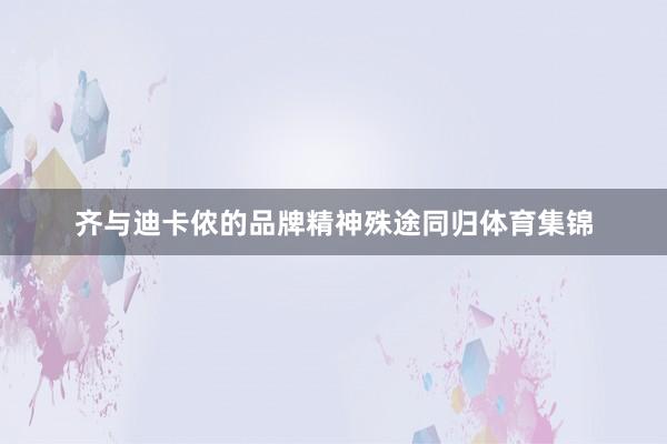 齐与迪卡侬的品牌精神殊途同归体育集锦